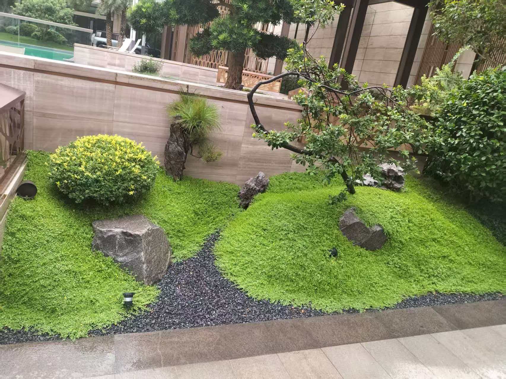 实景观案例